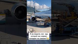 Как попадает еда в самолет… #travel #путешествия