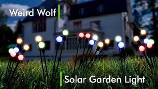 WEIRD WOLF  Solar Power Garden Light for Outdoor, Pots, Balcony Decoration