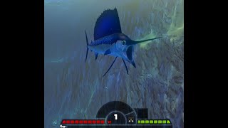 Feed and Grow: Fish Sailfish Review