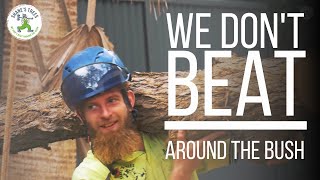 WE DON'T BEAT AROUND THE BUSH - SHANE'S TREES