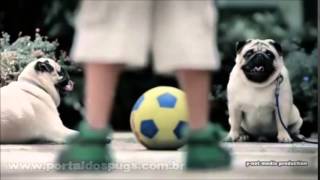 DZYN - Comercial de TV - Propaganda com Pug