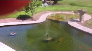 Rearsby, Leicestershire ( pond renovation )