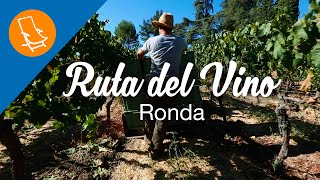 Ruta de Vino: Descubre Ronda y sus bodegas