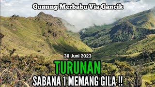 Gunung Merbabu Via GANCIK || TURUNAN SABANA 1 MEMANG GILA ‼️ @lonewolfindonesia