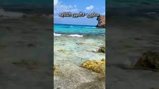 مطروح عالمين الغلابه