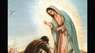 La Guadalupana.                                         Juan Diego 🌷🙏