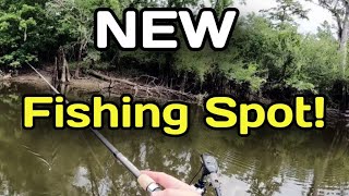 Fishing a New Spot -OR- Snake Bit: The Sequel {Catch and Cook}