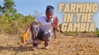 BACK IN THE GAMBIA! CLEARING MY FARMLAND WITH FAMILY (DAY 1&2)