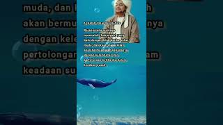 Al Habib Umar Bin Hafidz