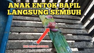 MENGOBATI ANAK ENTOK MASUK ANGIN