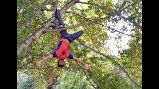 Spider man tree climb