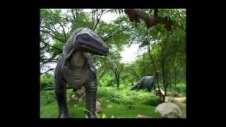 Return of the giant lizard at Gujarat.flv