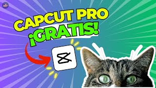 TUTORIAL como descargar CAPCUT para pc gratis 2024 EDITAR videos FACIL