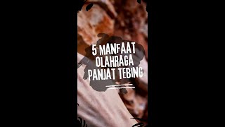 5 manfaat  olahraga panjat tebing