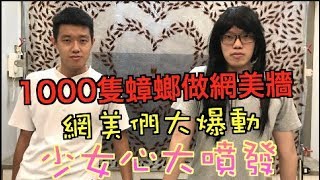 【狠愛演】網美們大暴動，1000隻蟑螂做網美牆 「少女心大噴發」