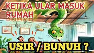 Cara Mengusir Ular yang masuk di dalam rumah  #ular #tutorial #hewanbuas #shorts #viral