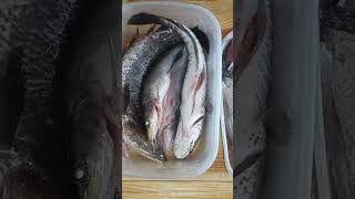 ikan gabus Enaknya dimasak apa ya? #shorts #cooking #ikangabus #ikanharuan