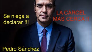 PEDRO SÁNCHEZ UN NARCISISTA MUY PELIGROSO ‼️‼️