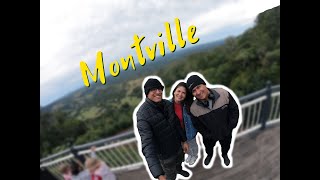 Conoce Montville, un hermoso pueblo muy cerca de Brisbane