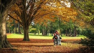 Windsor Great Park Inglaterra🇬🇧