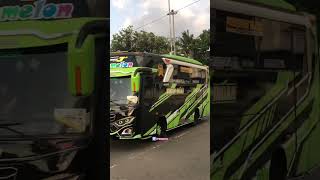 Telolet Basuri Artayya Trans x Bugar Indah #bisbasuri #trending #busmaniacommunity #buspariwisata