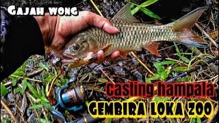 Casting hampala di sugai gajah wong Jogja gembira loka zoo