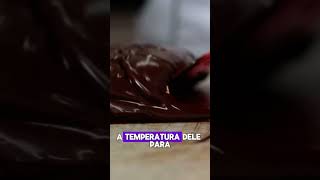 Como fazer temperagem do chocolate ?