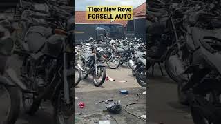 Jajan buat Tiger Revo #shorts #tiger