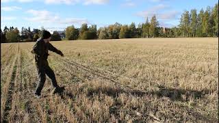 Balearic Pumpkin Slinging