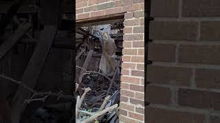 ABANDONED SCHOOL & CARS DESTROYED BY TORNADO #shorts #abandoned #urbex #truck #automobile #tornado