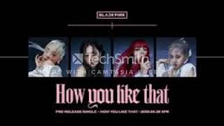 BLACKPINK - 'How You Like That'  MR removed