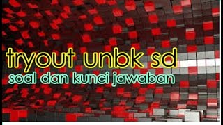 TRYOUT UNBK SD 2019