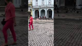 Cuba main square bird chasing