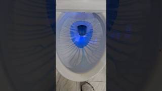 Cleaning Sounds Toilet Addition #bathroomclean #cleantok