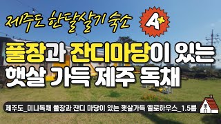 제주도 #한달살기 숙소_미니독채 풀장과 잔디 마당이 있는 햇살가득 옐로하우스_1.5룸