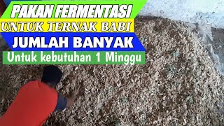 BEGINI CARA SAYA BUAT PAKAN FERMENTASI UTK BABI SKALA BANYAK