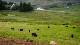 Kawasaki Z1000SX to Scotland, NC500, Isle of Skye, Lake District part 21 (Watch in 1440 / 2k)