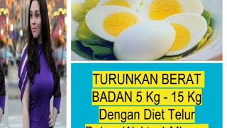 Turunkan Berat Badan 5 Kg -15 Kg Dengan Diet Telur dalam 1 Minggu