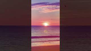 Sunset Beach View & Whale Song - Relax & Receive Distant Reiki for Balance & Harmony #shorts