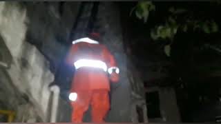 Corpo de Bombeiros resgata filhotes de gatos recém- nascidos em Montes Claros