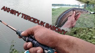 Mantapp!!! akhir'y terciduk babon'y ll casting ikan gabus menjelang magrib