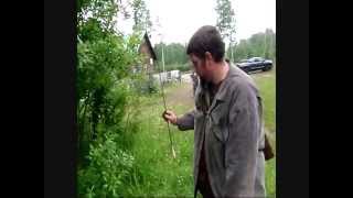 Archery in the rain