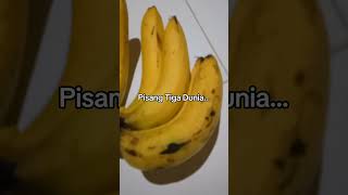 Pisang 3 dunia