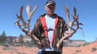 300 Inch Shed Antlers from Northern Arizona