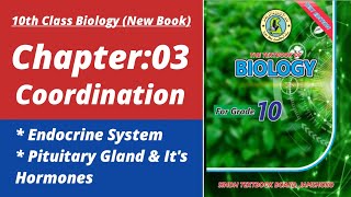 Pituitary Gland class 10 | Biology class 10 chapter 3| Class 10 new biology book