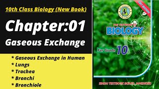 Human Respiratory System Class 10 | Gaseous exchange in human | Biology class 10 chapter 1