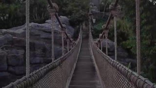 Walking the Path Toward the Miss Tilly at Typhoon Lagoon