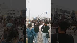 Cavalaria da polícia militar de Santa Catarina!