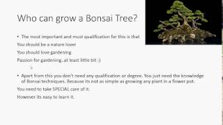 Bonsai - Introduction