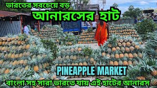 ভারতের সবচেয়ে বড় আনারস হাট || Pineapple Market || প্রতিদিন কয়েক লক্ষ্য আনারস বিক্রি হয় এই হাটে